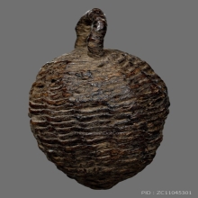 หมากทุยหลวงปู่เอี่ยม ( ลูกที่เด็ด )