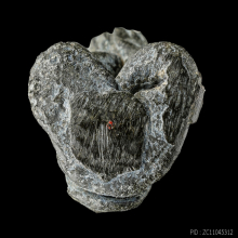 พระปิดตา พ่อท่านแก่น วัดทุ่งหล่อ 1 อุ