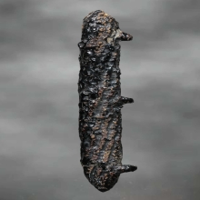 ตะกรุดหนังหน้าผากเสือ หลวงปู่บุญ วัดกลางบางแก้ว จ.นครปฐม