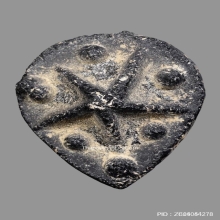 ดาวแม่เนื้อหอม หลวงพ่อผินะ วัดสนมลาว จ.สระบุรี