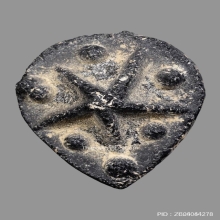 ดาวแม่เนื้อหอม หลวงพ่อผินะ วัดสนมลาว จ.สระบุรี