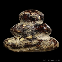 ตัวจริง ปิดตายุคต้น หลวงพ่อทองสุข พิมพ์ตะพาบ(นิยม)ปี2495