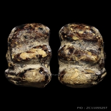 ตัวจริง ปิดตายุคต้น หลวงพ่อทองสุข พิมพ์ตะพาบ(นิยม)ปี2495