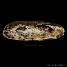 ตัวจริง ปิดตายุคต้น หลวงพ่อทองสุข พิมพ์ตะพาบ(นิยม)ปี2495