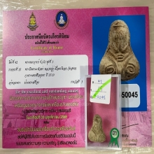 ติดที่3สมาคม ปิดตาหลวงปู่ดู่ เนื้อผงโขลก วัดสะแก