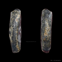 งบน้ำอ้อย หลวงพ่อเนียม วัดน้อย (พิมพ์ใหญ่นิยมสุด)