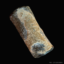 ตะกรุดเพชรหลีก สาริกา หลวงปู่บุญ วัดกลางบางแก้ว 