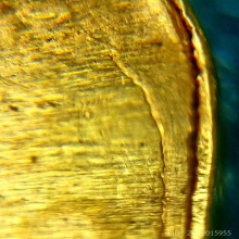 เหรียญ25ศตวรรษ 