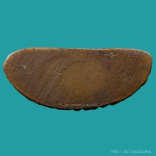 พระกริ่งสวนเต่า หลวงพ่อเต๋ พิมพ์ใหญ่