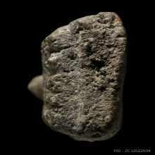 หลวงพ่อทวด เนื้อว่าน รุ่นแรก พ.ศ.2497