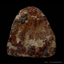 พระปิดตากรุวัดอัมพวา สด.พระพุทธโฆษาจารย์(ฤทธิ์) พิมพ์ชะลูด 