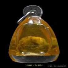 พญาเต่าเรือน เลี่ยมในน้ำมันจันทร์ หลวงพ่อสนิท วัดลำบัวลอย