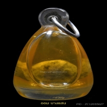 พญาเต่าเรือน เลี่ยมในน้ำมันจันทร์ หลวงพ่อสนิท วัดลำบัวลอย