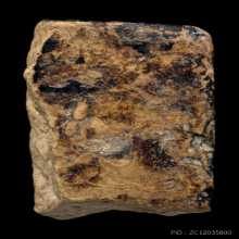 สมเด็จบางขุนพรหม (พิมพ์ใหญ่หรือเกศบัวตูม)