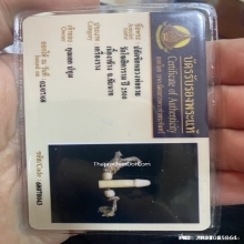 ปลัดขิกหลวงพ่อกวย วัดโฆษิตาราม จ.ชัยนาท ปี2500