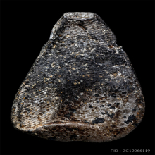 พระนางกำแพงกลีบบัว กรุครูกำยาน จ.กำแพงเพชร+บัตรสมาคม