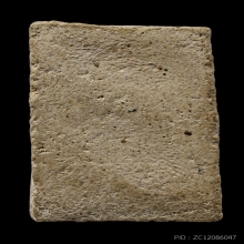 ติดที่2สมาคม พระครูมูล วัดสุทัศน์ คะแนน