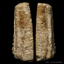 ติดที่1สมาคม หลวงปู่นาค วัดระฆัง ปรกโพธิยุคต้น