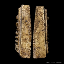 ติดที่2สมาคม หลวงปู่หิน วัดระฆัง เจดีย์เกศทะลุซุ้ม