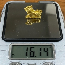 พระทองคำ พญาราชสีห์ ปี67