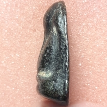 พระปิดตาหลังแบบหลวงพ่อแก้ว วัดเครือวัลย์ พิมพ์ใหญ่