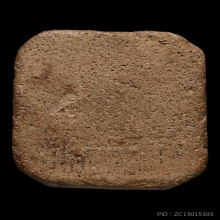 พระหลวงพ่อปาน วัดบางนมโค ไก่หางพวง