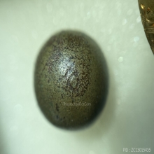 ลูกอมเมฆสิทธิ์