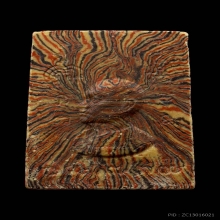 พระสมเด็จฐานสิงห์ปี2515 หลวงพ่อแพ วัดพิกุลทอง สิงห์บุรี