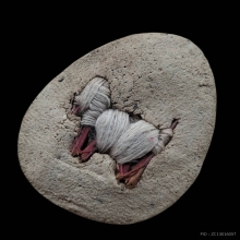 พระปิดตาหลวงปู่เย็น วัดสระเปรียญ พิมพ์ใหญ่