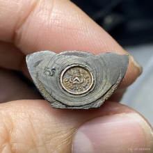 พระกริ่งจอมสุรินทร์ ปี 2513 หลวงปู่ดุลย์ 