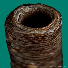 ตะกรุดโทนหลวงพ่อกลั่น วัดพระญาติ อยุธยา