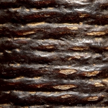 ตะกรุดโทนหลวงพ่อกลั่น วัดพระญาติ อยุธยา