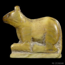 ๙ “ตัวดารา+ตัวแชมป์” หนูงาแกะหลวงพ่ออ่ำ วัดหนองกระบอก ๙