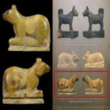 ๙ “ตัวดารา+ตัวแชมป์” หนูงาแกะหลวงพ่ออ่ำ วัดหนองกระบอก ๙