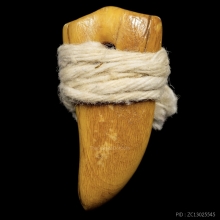 งาช้างแกะเป็นเขี้ยวเสือ 