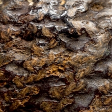 ลูกอมหลวงพ่อแน่น วัดหนองขาว กาญจนบุรี