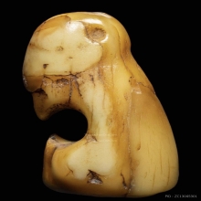 เสือหลวงพ่อปาน วัดบางเหี้ย ( ราคาจับต้องได้ )