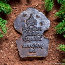 พระนาคปรก หลวงปู่คำบุ วัดกุดชมพู ปี 2553