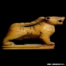 เสือหลวงปู่ยิ้ม วัดหนองบัว จ.กาญจนบุรี