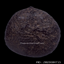 เบี้ยแก้ หลวงปู่รอด วัดนายโรง