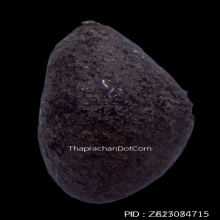 เบี้ยแก้ หลวงปู่รอด วัดนายโรง