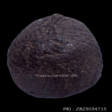 เบี้ยแก้ หลวงปู่รอด วัดนายโรง