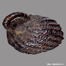 ลูกอมมหาเสน่ห์หลวงพ่อปลอด วัดในปากทะเล จ.เพชรบุรี