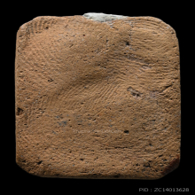 พระหลวงพ่อปาน วัดบางนมโค พิมพ์หนุมานทรงเครื่อง