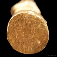 พระทองคำ.กุมารทองรุ่นมงคลเทพทักษิณ วัดเขาอ้อ ปี2555