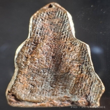 พระหูยาน พิมพ์เล็ก เนื้อตะกั่วสนิมแดง กรุวัดพระศรีฯ ลพบุรี