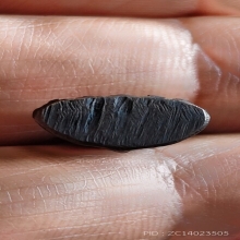 พระชัยวัฒน์อุ้มบาตรอาจารย์เทพย์สาริกบุตร ปี07 เนื้อนวะกลับดำ