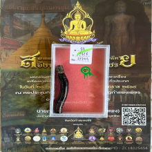 >>>..,ปลัดขิกอาจารย์หล่อ วัดครุใน ไม้กัลปังหาดำ จาร 5แถว