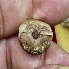 พระบัวเข็มเนื้อผงน้ำมันปิดทองเดิมวัดชนะสงครามฝังตะปูสังฆวานร