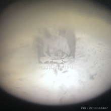 น้ำเต้าดูดทรัพย์ หลวงพ่อสด วัดปากน้ำ รุ่นแรก